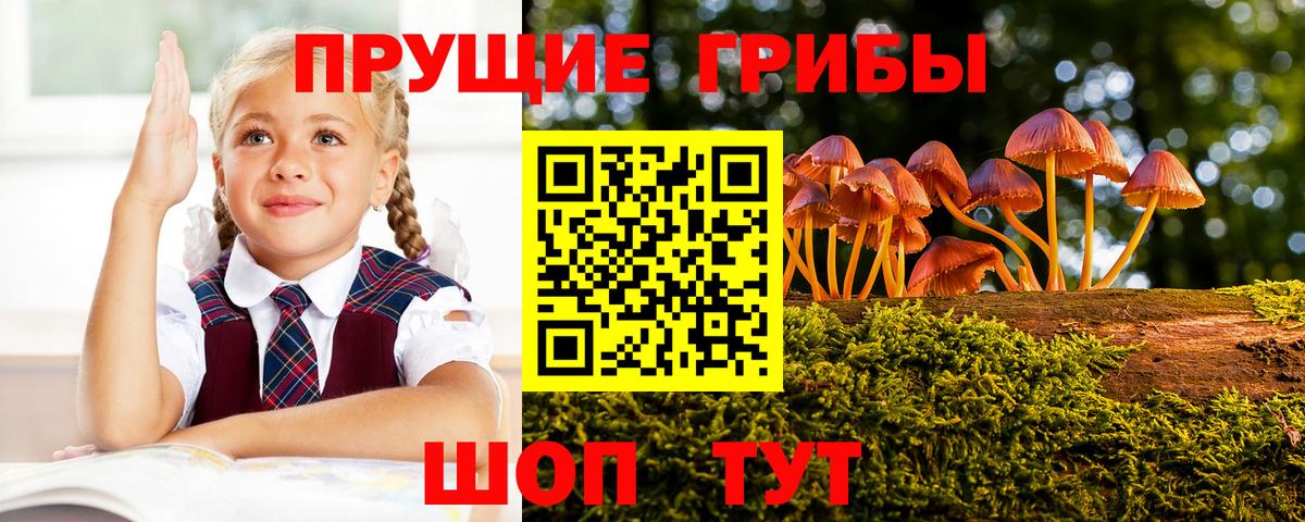 где можно купить   Псилоцибиновые грибы мухоморы  Галлюциногенные грибы Psilocybe  Вход с VPN  Мирный 